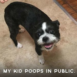 Meet your Posher, Stacey